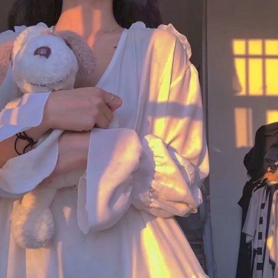 威尼斯计划